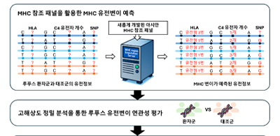 생물학과 김광우 교수 연구팀, 루푸스 유전자 비밀을 풀다